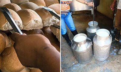 pan leche cuba