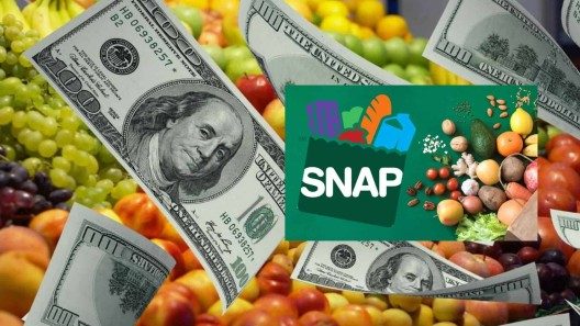 Con el Proyecto de Solicitud Simplificada agilizarás tus beneficios SNAP