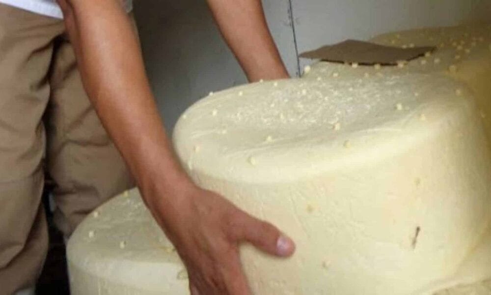 decomisan queso cuba