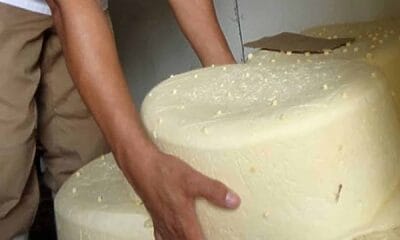 decomisan queso cuba