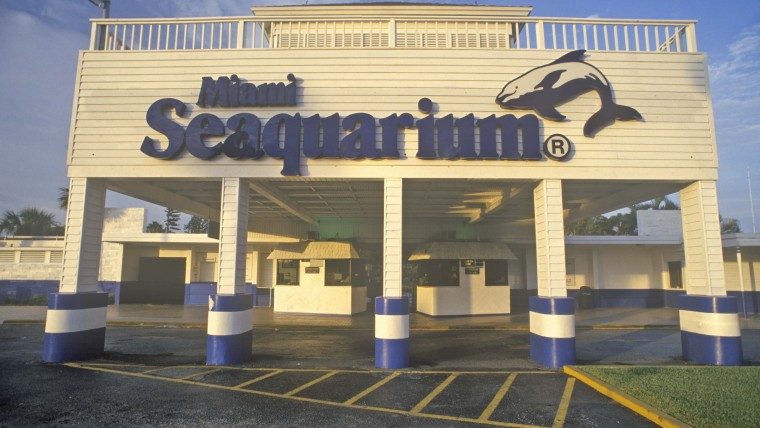 miami seaquarium