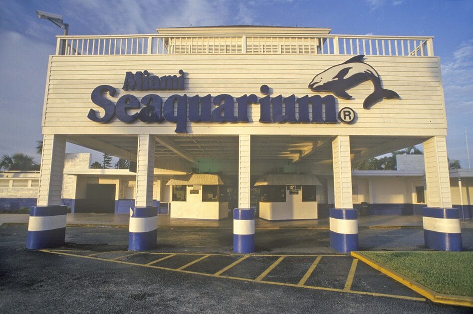 miami seaquarium