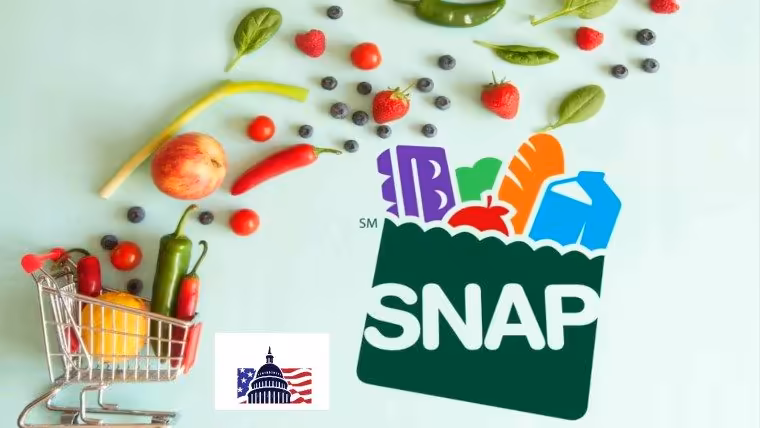 Beneficiarios del programa SNAP podrán recibir sus food stamps esta semana
