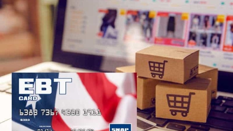 Primera tienda online en aceptar pagos con tarjetas EBT del programa SNAP en Estados Unidos