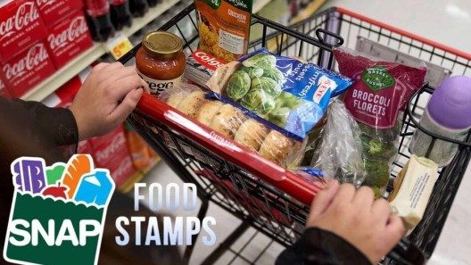 Programa SNAP anuncia pagos de hasta $973 dólares para el resto de junio