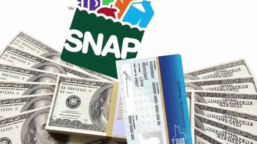 Revisa así si ya están tus food stamps del programa SNAP en Estados Unidos