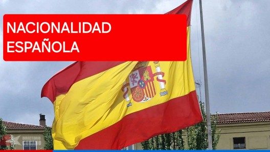 Nuevo canal para la Ley de Nietos: Resuelve tus dudas y consulta expediente