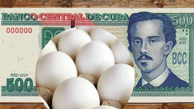 De lanzarlos, a pagar más de un salario por un cartón de huevos en Cuba