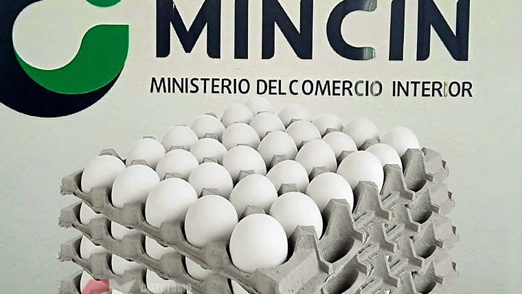 Canasta básica: apenas cinco huevos para dos meses entregarán en esta provincia