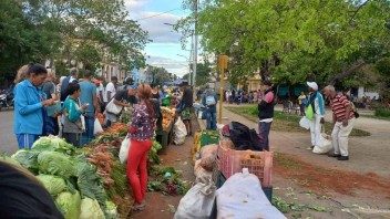 Ferias agropecuarias en los 15 municipios de La Habana este 18 de octubre