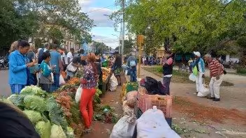 Ferias agropecuarias en los 15 municipios de La Habana este 18 de octubre