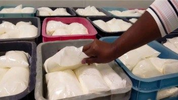 Llegó la soya a Sancti Spíritus: se reactiva la producción de la industria láctea