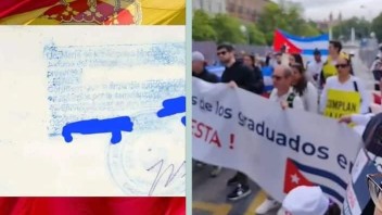 Manifestación de cubanos en España: denuncian paralización del reconocimiento de sus títulos