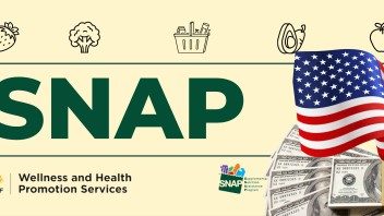 Así podrás emplear tu tarjeta Lone Star del programa SNAP