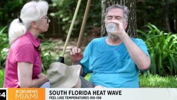 Alerta máxima por calor en Miami: sensación térmica de 100-105 °F