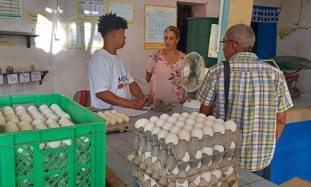 canasta básica cuba productos