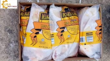 Cuba: Aprueban 122 nuevas mipymes privadas en mayo