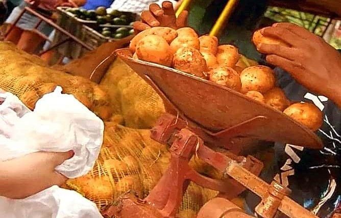 Distribución de papa en Cuba ¿por qué no dan por la libreta y sí la venden los particulares hasta a 200 pesos la libra?