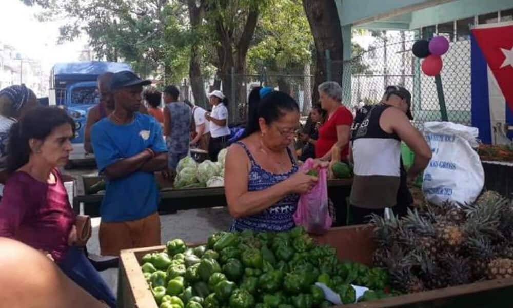 ferias agropecuarias habana precios