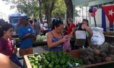 ferias agropecuarias habana precios