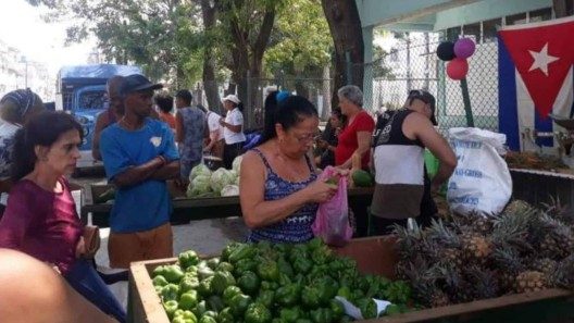 Ferias Agropecuarias en La Habana este fin de semana: precios y listado de productos