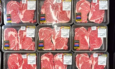 comida importados usa mipymes cubanas