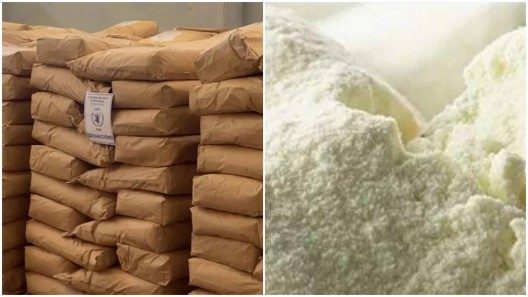 Donativo de leche en polvo llegará muy pronto desde Francia