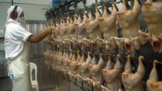 Vende Dominicana huevos y carne de pollo a Cuba en medio de crisis