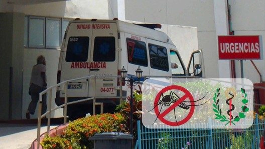 Casos de Oropouche en Europa relacionados con Cuba