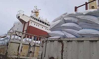 arroz sal canasta básica