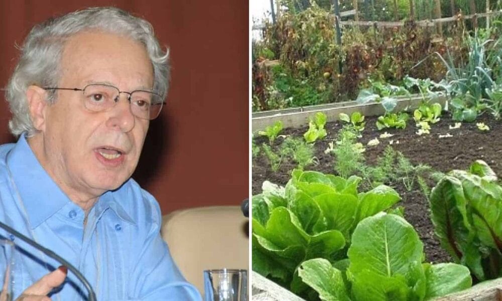 frei betto alimentos ventanas