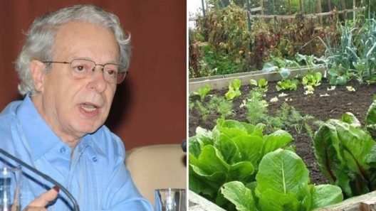 Asesor alimentario de Cuba propone sembrar alimentos en las ventanas y «piscinas vacías»