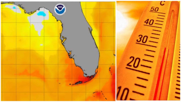 Aviso de calor vigente en el Sur de Florida hasta el sábado por la tarde