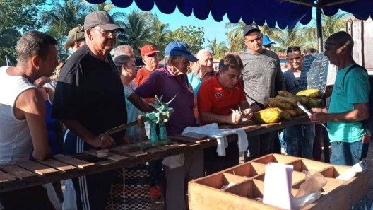 Bajan precios de algunos alimentos en ferias agropecuarias cubanas