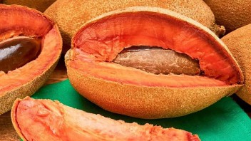 Cuba busca exportar alimentos y productos agropecuarios en Francia