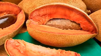 Cuba busca exportar alimentos y productos agropecuarios en Francia