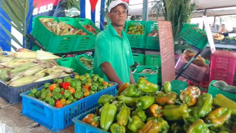 nuevos horarios mercados estatales