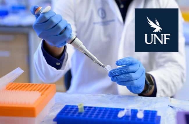 Descubren y patentan compuesto que podría «apagar» el cáncer en la Universidad del Norte de Florida