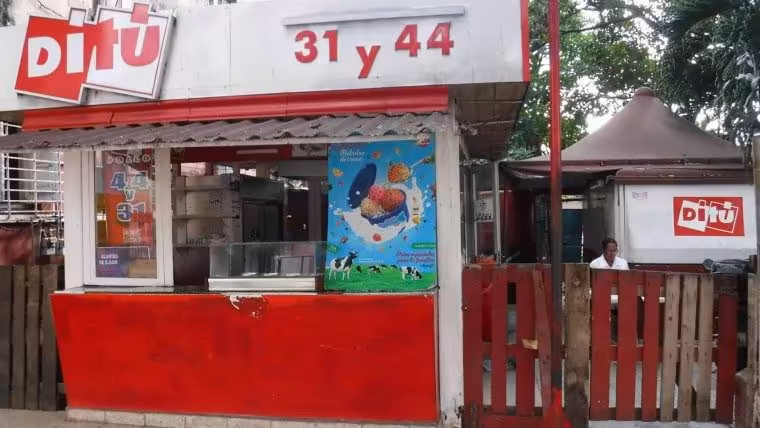 palmares ditú