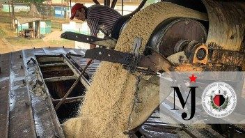 Condenas de hasta 18 años de prisión por robo de azúcar en Cuba