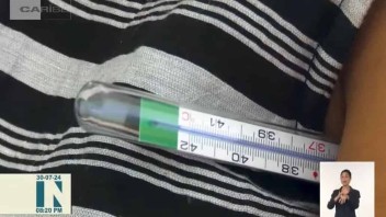 Confirman presencia de dengue y Oropouche en toda Cuba