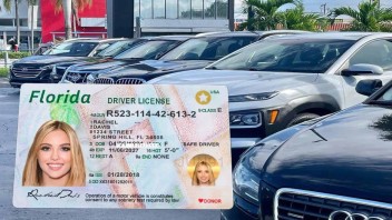 ¿Qué pasa con la licencia de conducir de Florida? ¿basta para demostrar estatus legal ante el ICE?