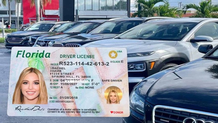 ¿Qué pasa con la licencia de conducir de Florida? ¿basta para demostrar estatus legal ante el ICE?