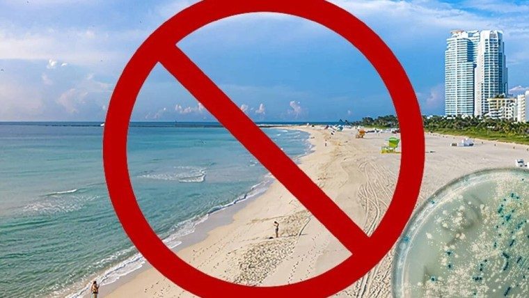 Alerta en tres playas de Miami por bacterias fecales
