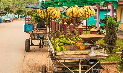 precios alimentos cuba julio