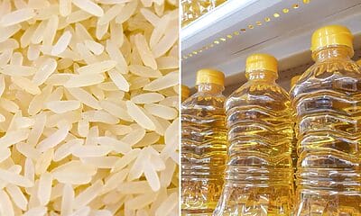 arroz aceite canasta básica cuba