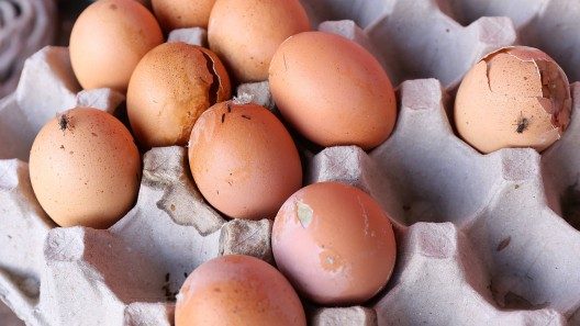 Denuncian venta de huevos podridos en Mipymes cubanas