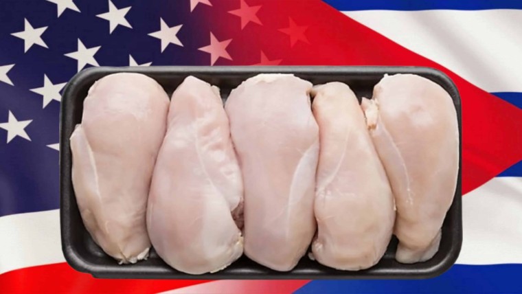Menos pollo de Estados Unidos a Cuba