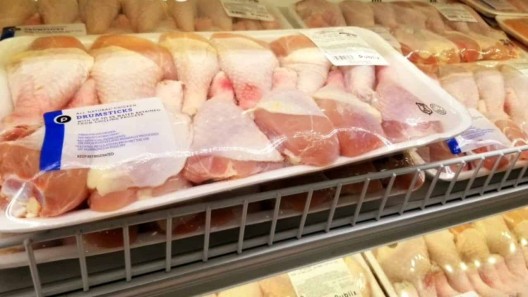 Caen más de un 20% las exportaciones de pollo de Estados Unidos a Cuba