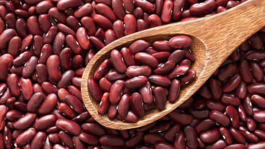 Crisis en el campo cubano: producir frijoles ya no es rentable para los campesinos